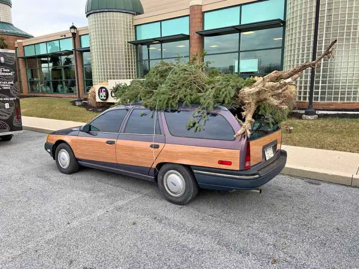 A photo showing a 1987 Ford Taurus MT5 wagon from a rear three quarters angle.