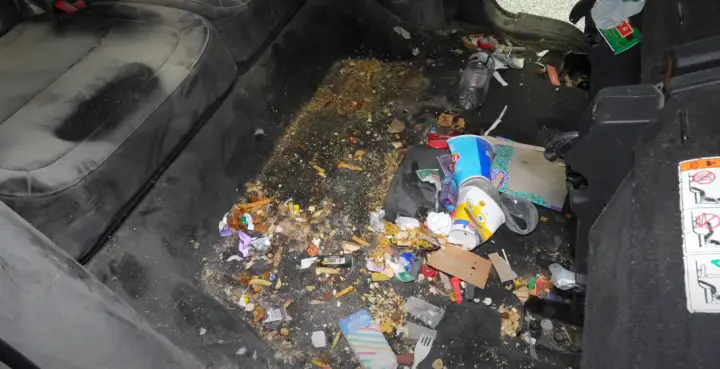 Video screenshot of the nasty interior of the Ford Flex before it was cleaned up. It took about 12 hours of work to finish.