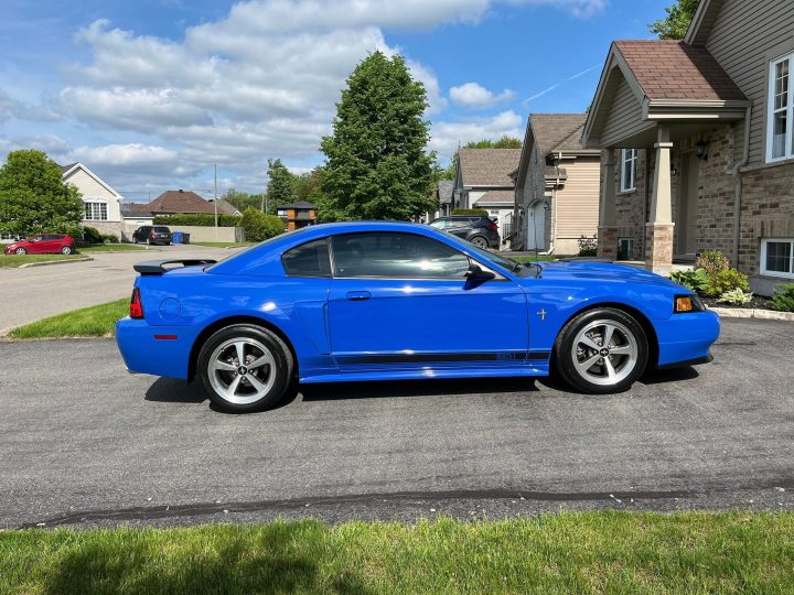 A side view of the 2003 Ford Mustang Mach 1 for sale. It's currently registered in Canada, and is showing relatively low mileage on the odometer.